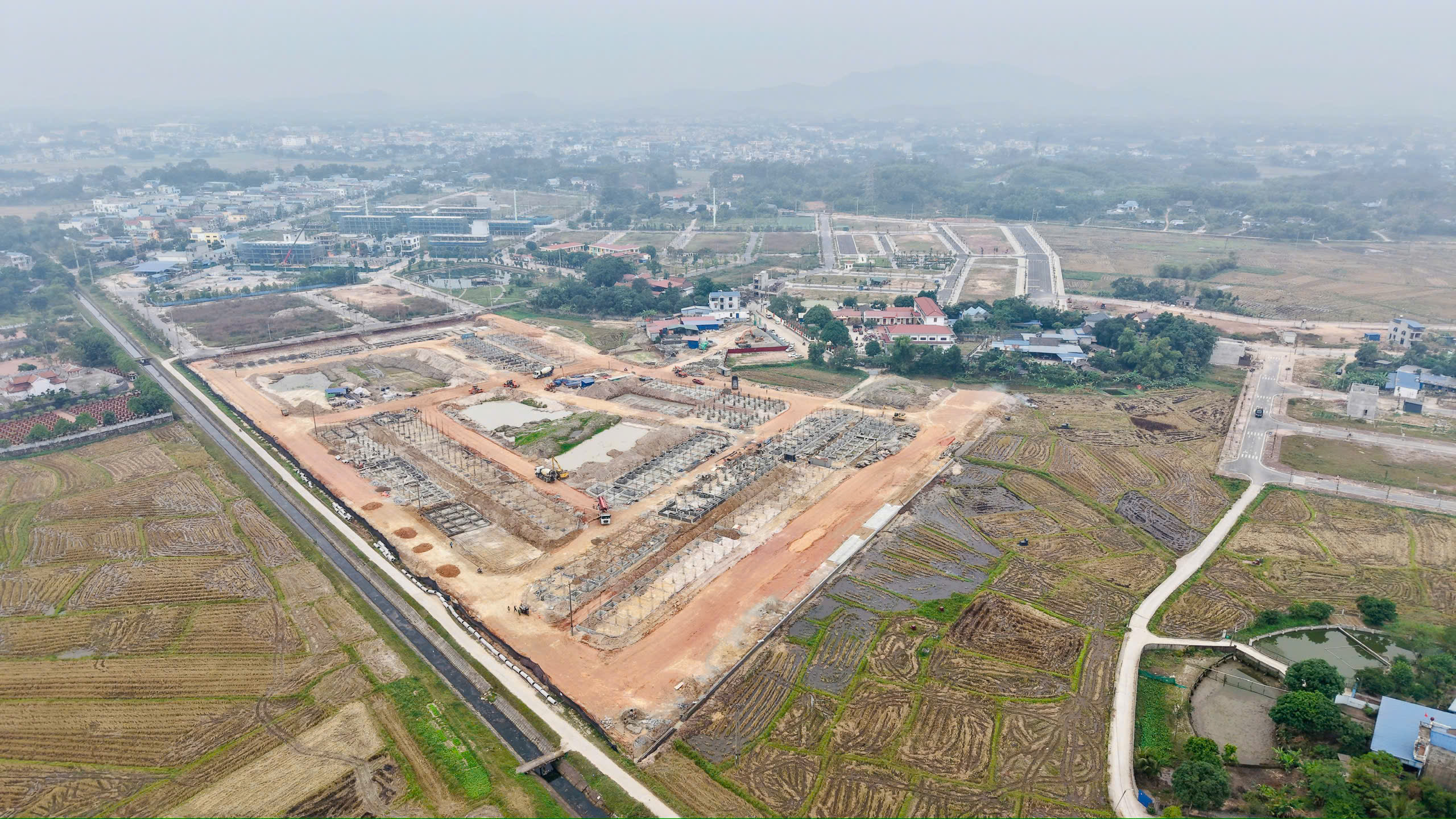 Tiến độ 5